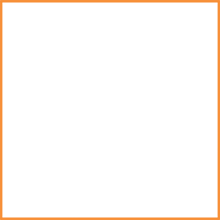Values Integrity